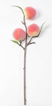 Ветка с плодами персика от магазина KALINA являющийся официальным дистрибьютором в России 