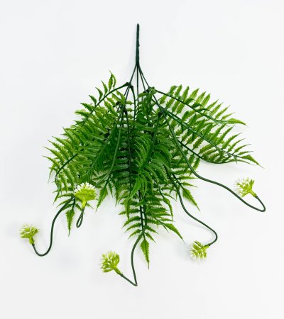 Клевер 5 веток