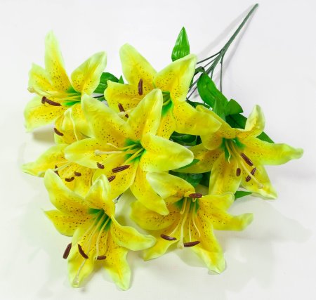 Лилия "Леди Элис" 7 цветков