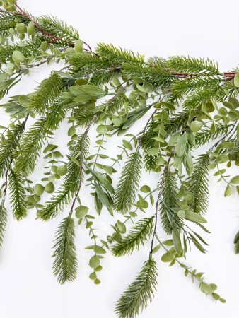 Лиана "Хвоя-эвкалипт"