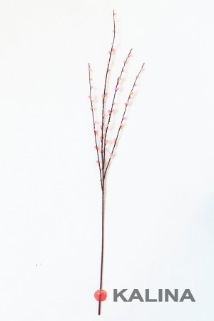 Ветка вербы