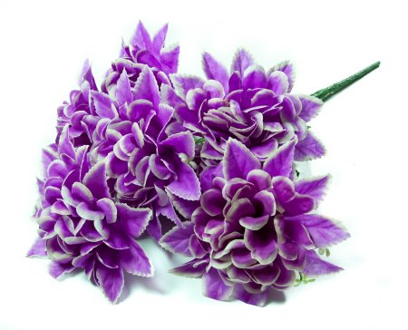 Букет астры "Звезда" 7 веток 7 цветков