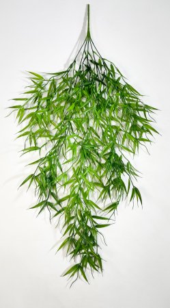 картинка Ветка ампельного молодого бамбука от магазина KALINA