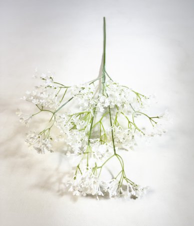 Гипсофила "Изящная" белая