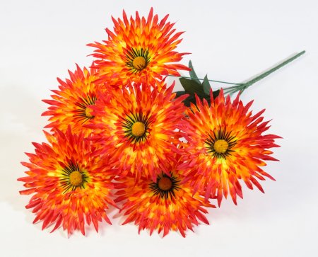 Астра Фокус малая 6 цветков