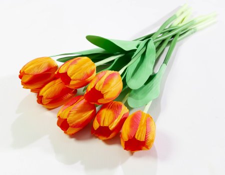 c426ba5f1cbd73019888839e1e648b50