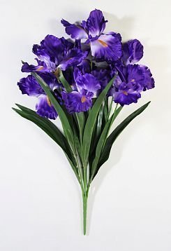 Букет ирисов садовых 7 цветков от магазина KALINA являющийся официальным дистрибьютором в России 
