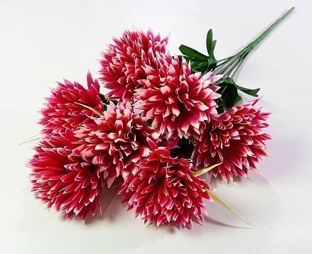 Хризантема "Талисман" малый 7 цветков от магазина KALINA являющийся официальным дистрибьютором в России 