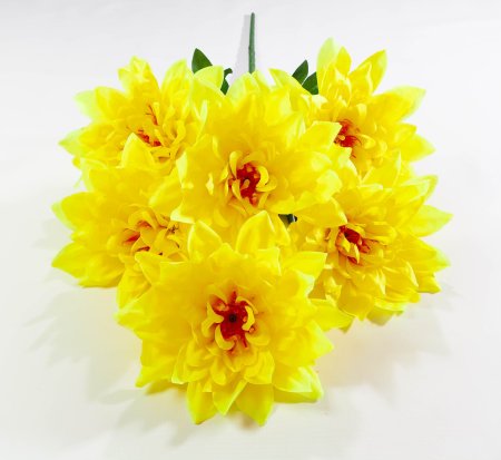 Георгин "Великан" 6 цветков