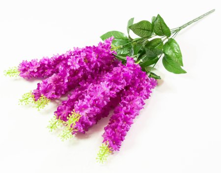 f0874cd79fa6791d78ee015608ec554e