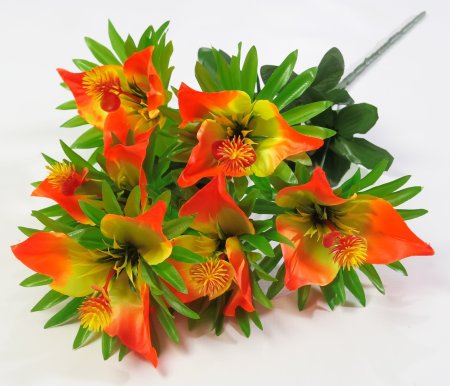 Букет лилий " Чудо" 6 цветков