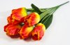 Тюльпаны крупные 7 цветков