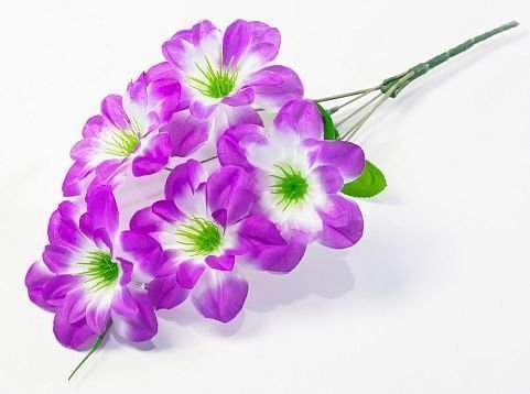 Букет георгина "Ария" 5 цветков от магазина KALINA являющийся официальным дистрибьютором в России 