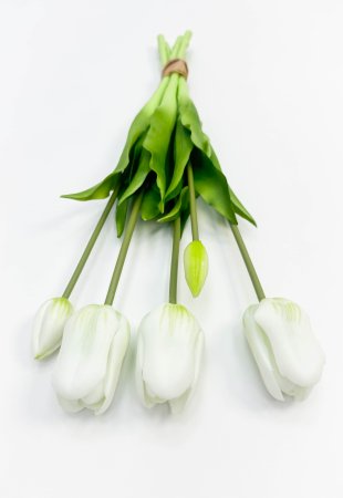 Тюльпан "Корона весны" белый 