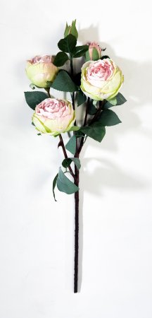 Ветка пионовидной розы Октава светло-розовая