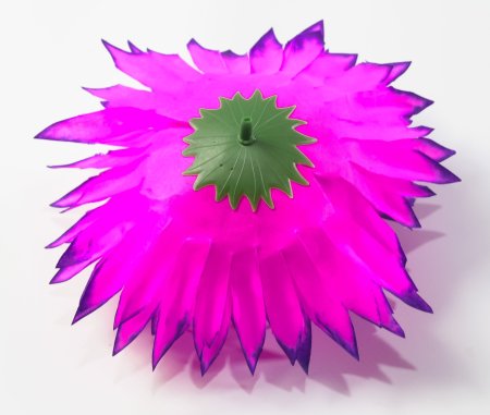 Насадка хризантемы "Талисман"