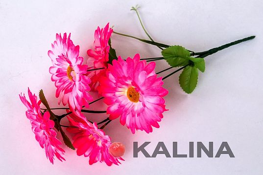 Букет ромашки "Аэлита" 5 веток 5 цветков от магазина KALINA являющийся официальным дистрибьютором в России 