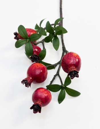 Ветка граната 5 плодов