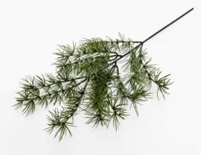 Бонсай лиственница ветка темная