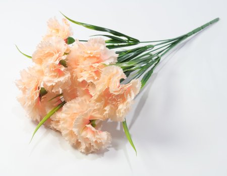 Букет гвоздик "Вишенка" 9 цветков