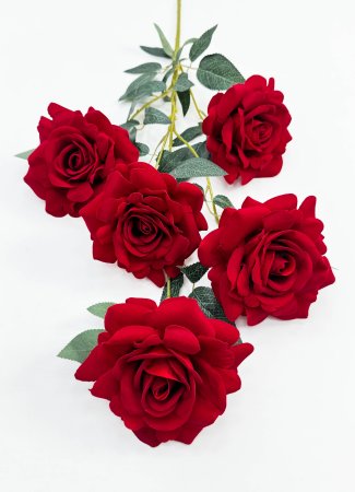 Роза "Овация" 5 цветков