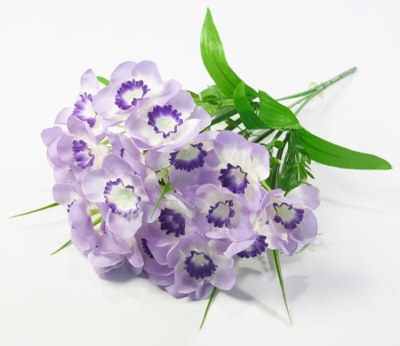 Нарцисс "Лига" 20 цветков