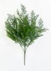 картинка Ветка туи "Холмструп" от магазина KALINA