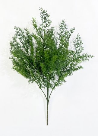 картинка Ветка туи "Холмструп" от магазина KALINA