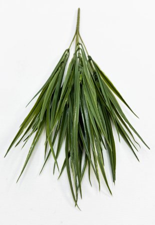 картинка Осока "Дачная"  от магазина KALINA