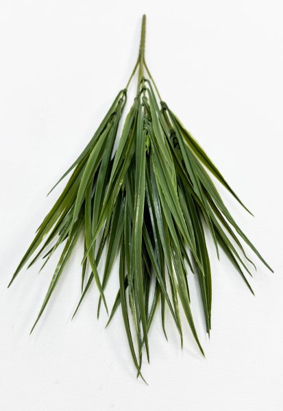 картинка Осока "Дачная"  от магазина KALINA