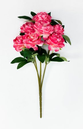 Пион "Аура" 7 цветков