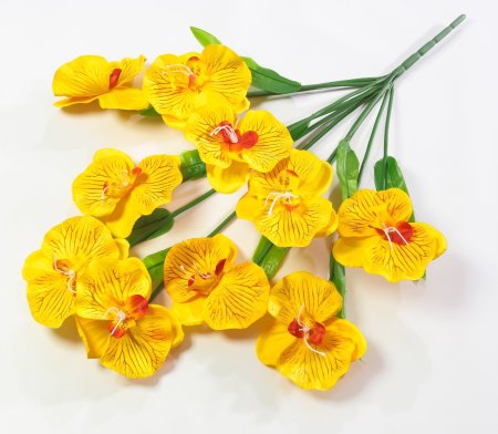 Букет орхидеи 10 веток 10 цветков