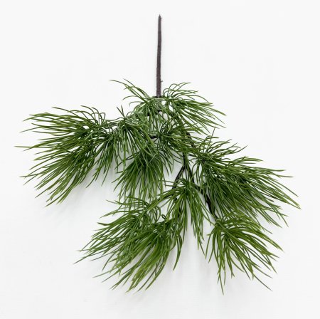 картинка Бонсай сосна Веймутова от магазина KALINA