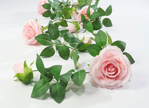 Лиана роза крупная от магазина KALINA являющийся официальным дистрибьютором в России 