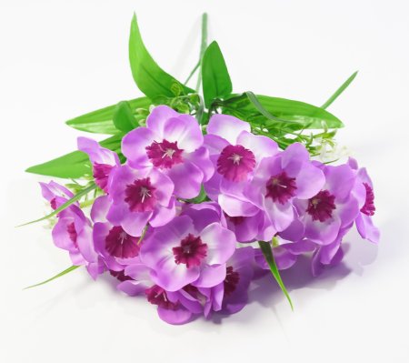 Нарцисс "Лига" 20 цветков