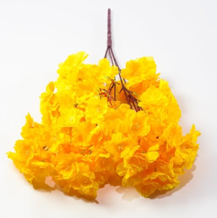 Ветка яблони 5 веток