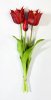 Тюльпан "Саппоро" (2+1) красный