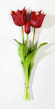 Тюльпан "Саппоро" (2+1) красный