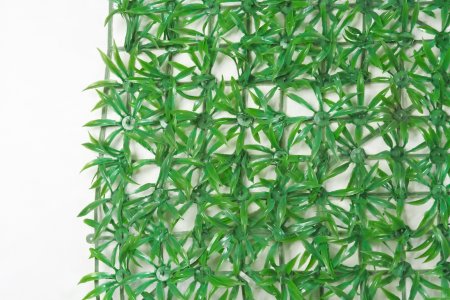 картинка Газон "Мурава" от магазина KALINA