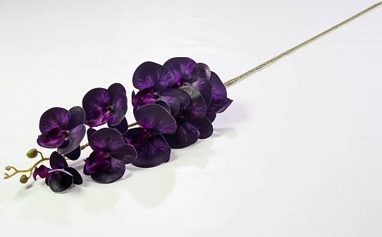Ветка орхидеи 27 искусственная от магазина KALINA являющийся официальным дистрибьютором в России 