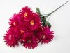 Хризантема "Китти" 7 цветков