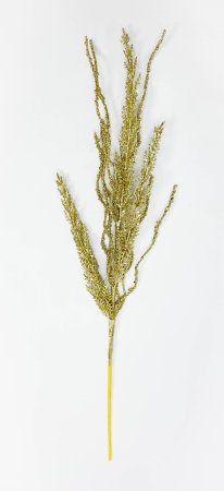 Ветка "Коряга" золото