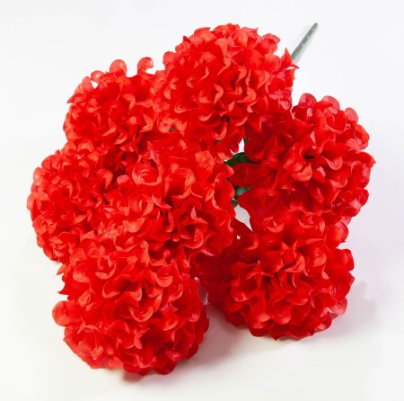 Шафран махровый 7 веток