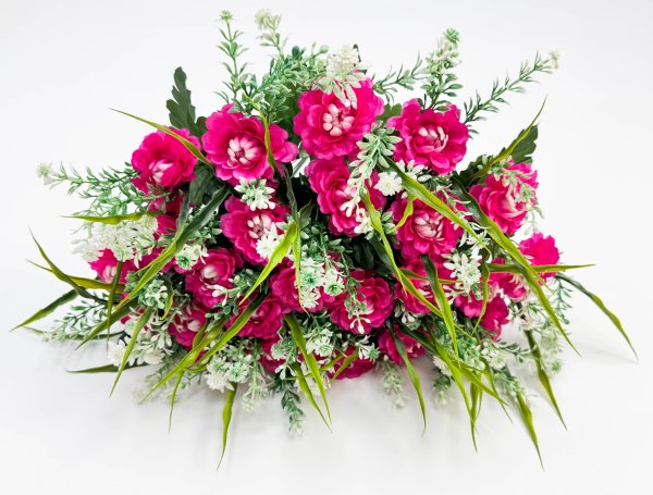 Цинния 24 цветка