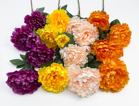 Пион "Афродита" 4 цветка 1 бутон