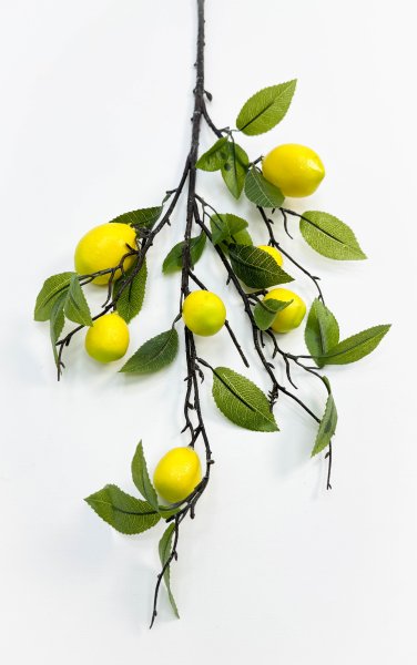Ветка лимона 7 плодов
