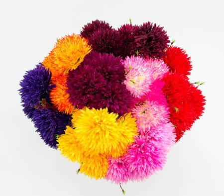 Хризантема "Дыхание юга" 7 цветков