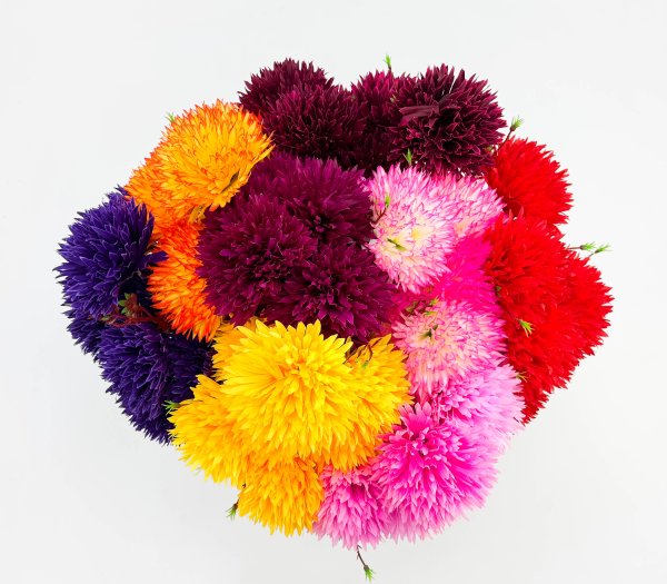 Хризантема "Дыхание юга" 7 цветков