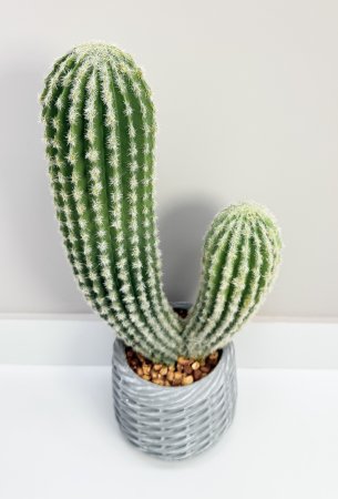 Кактус 45 см
