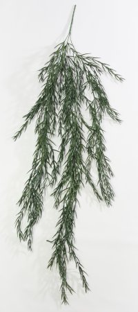 картинка Розмарин "Лето" от магазина KALINA